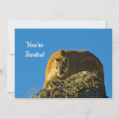 Cougar verjaardagsuitnodiging kaart (Voorkant)