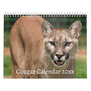 Cougar Wild Cat Kalender