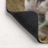 COUGAR Wildlife Mousepad Muismat (Hoek)