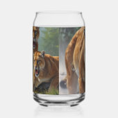 Cougars (Droite)