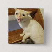 Coughing Cat Meme Pin Button (Voorkant)
