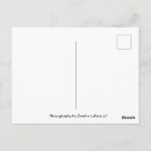 Couleur dans votre vie Carte postale (Dos)