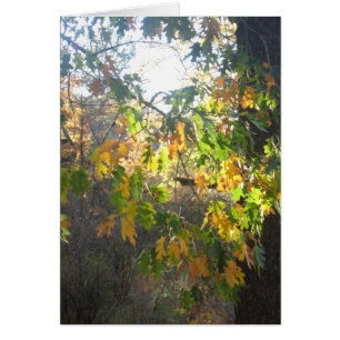 Couleur de chute