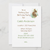 Couleur d'eau mignonne lapin lapin Invitation de f (Dos)