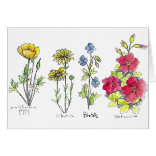 Couleur d'encre botanique Fleur sauvage de pavot