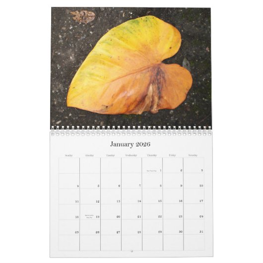 Couleur des Caraïbes… le calendrier 2009 de fleurs (Jan 2026)