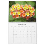 Couleur des Caraïbes… le calendrier 2009 de fleurs (Feb 2026)