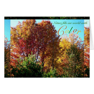 Couleur du feuillage