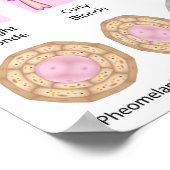 couleur et base de texture des cheveux Poster (Coin)