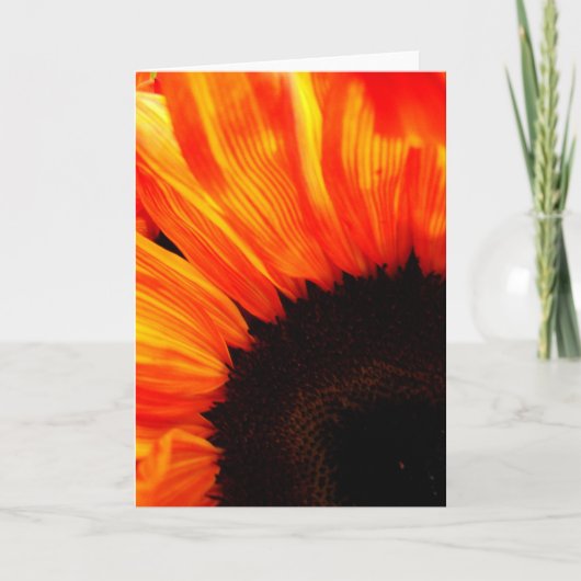 couleur kaart (Voorkant)