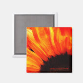 couleur magneet (Voorkant / Achterkant)