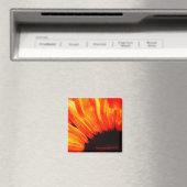 couleur magneet (Insitu (Vaatwasser))