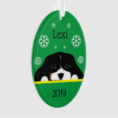 Couleur Tri Personnalisée Cavalier King Charles Ve (devant)