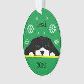 Couleur Tri Personnalisée Cavalier King Charles Ve (devant)