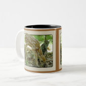 Couleurs Cerf de Virginie - tasse 2 de faon (Devant gauche)