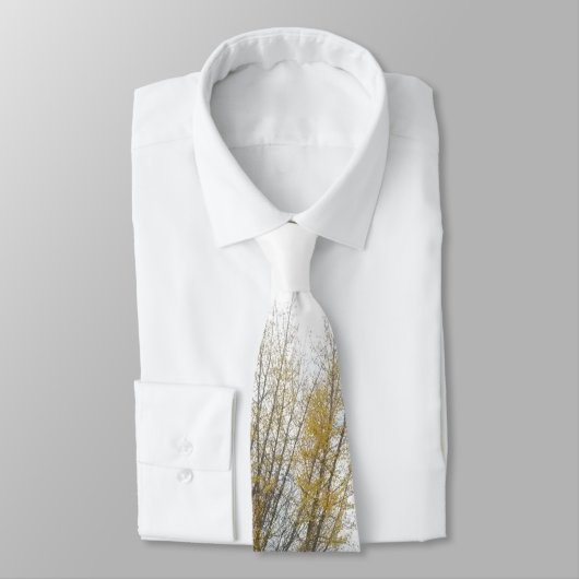 "Couleurs cravate d'automne" (Attaché)