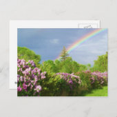 couleurs dans la carte nature (Devant / Derrière)