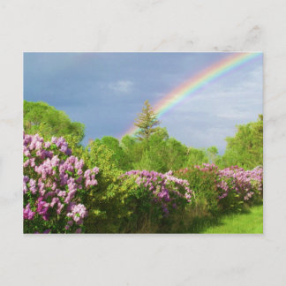 couleurs dans la carte nature