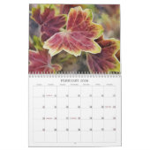 Couleurs Dans La Nature Calendrier Art (Feb 2026)