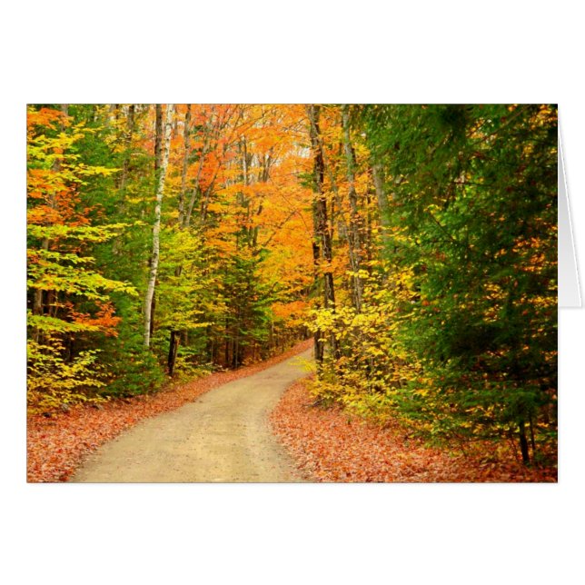 COULEURS D'AUTOMNE (Devant horizontal)