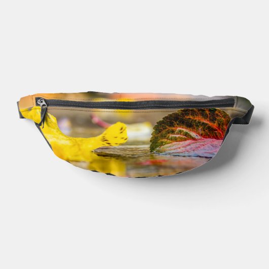 Couleurs d'automne (Poser)