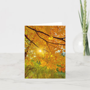 Couleurs d'automne blanc carte pour notes
