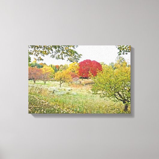 "COULEURS D'AUTOMNE DANS LE PARC" Impression sur (Recto)