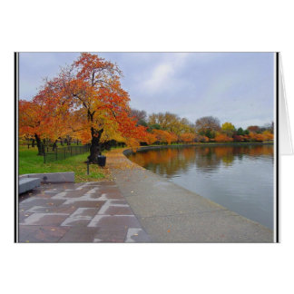 Couleurs d'automne de la piscine marémotrice