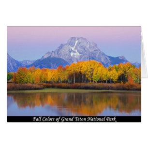 Couleurs D'Automne Du Parc National De Grand Teton