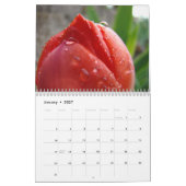 Couleurs de CALENDRIERS FLEURS ROUGES Arbres Flora (Jan 2027)