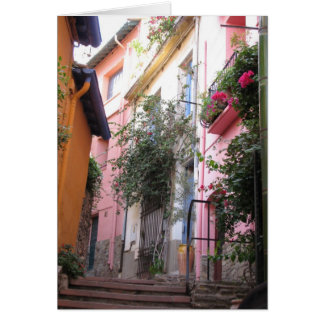 Couleurs de Collioure