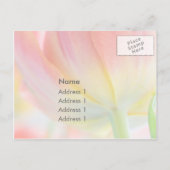 Couleurs de la carte postale RSVP Printemps (Dos)