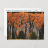 Couleurs De La Carte Postale Tetons (Devant / Derrière)