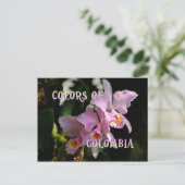 Couleurs de la Colombie Cattleya Orchid Carte post (Debout devant)
