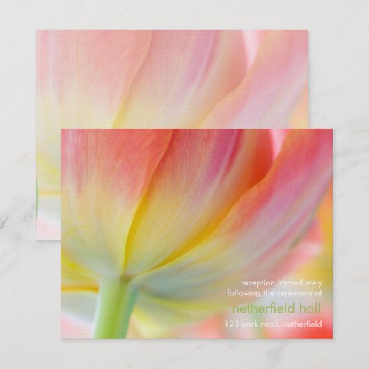 Couleurs de Printemps • Invitation à la Réception  (Devant / Derrière)