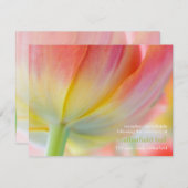 Couleurs de Printemps • Invitation de Réception de (Devant / Derrière)