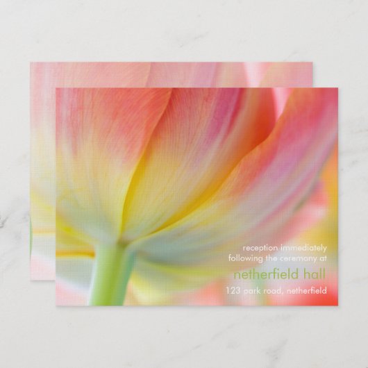 Couleurs de Printemps • Invitation de Réception de (Devant / Derrière)