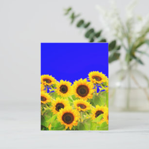 Couleurs du drapeau de la carte de tournesol Ukrai