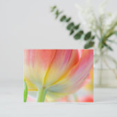 Couleurs du printemps ・ Carte postale (Debout devant)