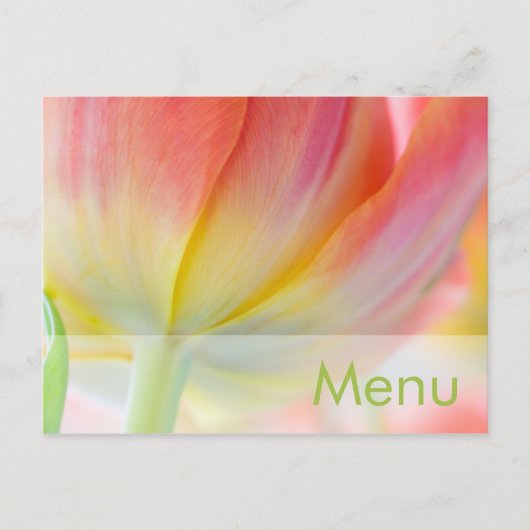 Couleurs du printemps ・ Menu Carte postale (Devant)
