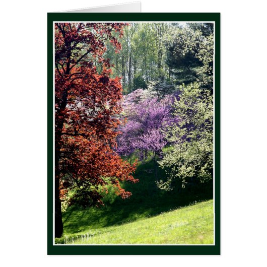 Couleurs du ressort (Devant)