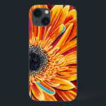 Couleurs éclatées II<br><div class="desc">Floral</div>