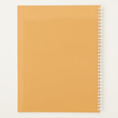 Couleurs rétro Orange Rose Gold Stripes Nom du scr (Dos)