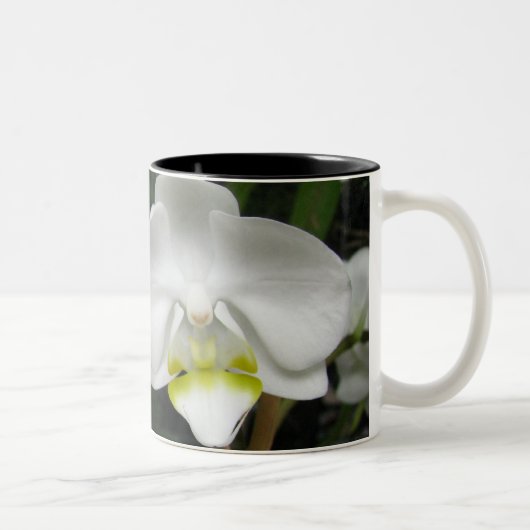 Couleurs Tasse 2 d'orchidée (Droit)