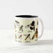 Couleurs Tasse de Hoveryfly - ton 2 (Devant droit)