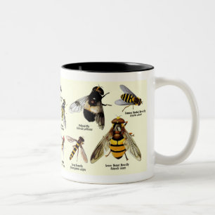 Couleurs Tasse de Hoveryfly - ton 2