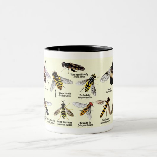 Couleurs Tasse de Hoveryfly - ton 2 (Centre)