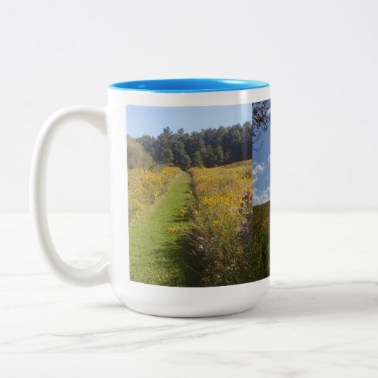 Couleurs Tasse Michias 2 (Gauche)