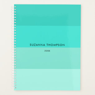 Couleurs Turquoises turquoise en bande horizontale