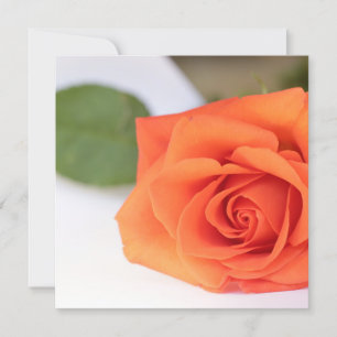 Couleurs vives Orange Rose Votre carte texte plat